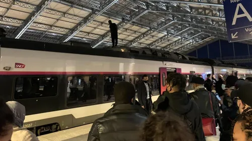 Sur un train perché